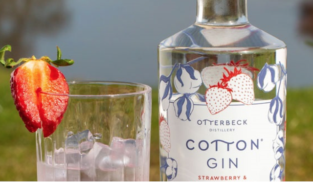 Image for Gins celebrate Sir Captain Tom, local produce and World Gin Day
