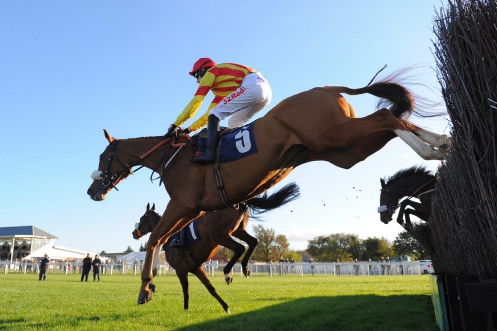 Image for Book your tickets for Charity Raceday on November 18