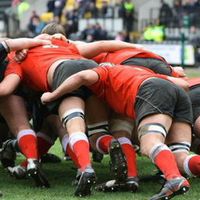 Image for Rugby's European Champions Cup fixtures announced